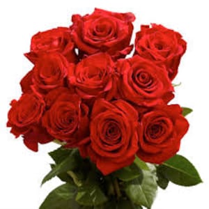 Doz. Red Roses
